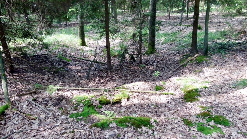 W ziemiankach spadochroniarzy  - zdjęcie 1