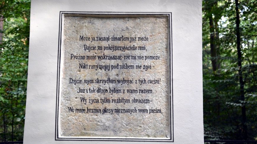 Tajemniczy pomnik przy Trakcie Leśniewskim - zdjęcie 1