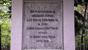 Tajemniczy pomnik przy Trakcie Leśniewskim - zdjęcie 3