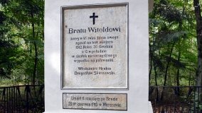 Tajemniczy pomnik przy Trakcie Leśniewskim - zdjęcie 5