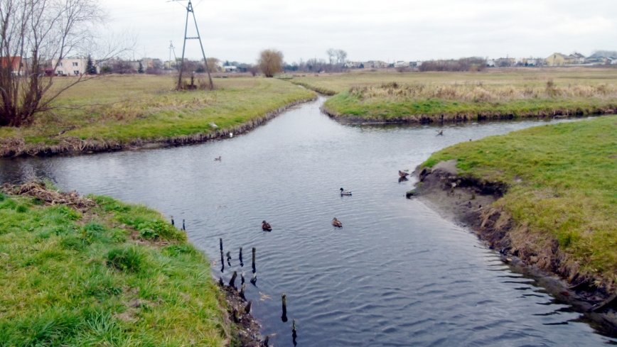 Bifurkacja Wągrowiecka - zdjęcie 1