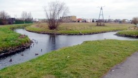 Bifurkacja Wągrowiecka - zdjęcie 3