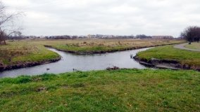 Bifurkacja Wągrowiecka - zdjęcie 6