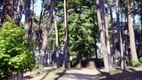 Zagadkowa piramida - zdjęcie 4