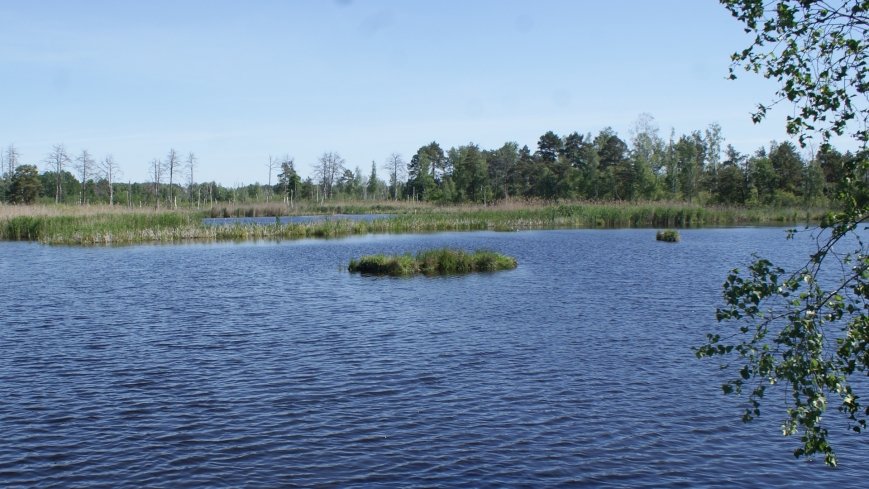Bagno Chlebowo - zdjęcie 1