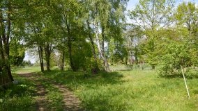 Park w Leśniewie - historia, magiczna przyroda, konie… - zdjęcie 3