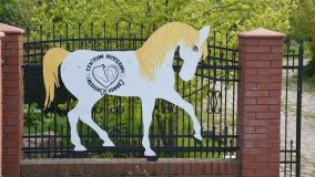 Park w Leśniewie - historia, magiczna przyroda, konie… - zdjęcie 6