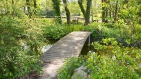 Park w Leśniewie - historia, magiczna przyroda, konie… - zdjęcie 7