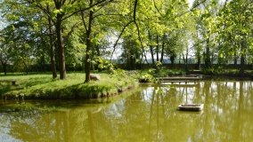 Park w Leśniewie - historia, magiczna przyroda, konie… - zdjęcie 10