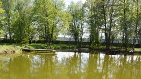 Park w Leśniewie - historia, magiczna przyroda, konie… - zdjęcie 12