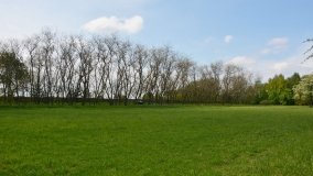 Park w Leśniewie - historia, magiczna przyroda, konie… - zdjęcie 14