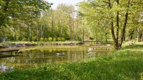 Park w Leśniewie - historia, magiczna przyroda, konie… - zdjęcie 15