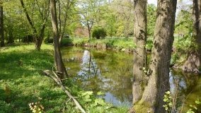 Park w Leśniewie - historia, magiczna przyroda, konie… - zdjęcie 16