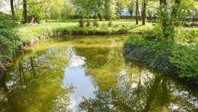 Park w Leśniewie - historia, magiczna przyroda, konie… - zdjęcie 18