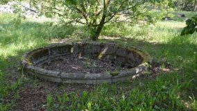 Park w Leśniewie - historia, magiczna przyroda, konie… - zdjęcie 19