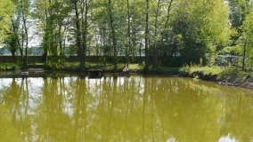 Park w Leśniewie - historia, magiczna przyroda, konie… - zdjęcie 25