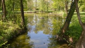 Park w Leśniewie - historia, magiczna przyroda, konie… - zdjęcie 27