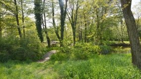 Park w Leśniewie - historia, magiczna przyroda, konie… - zdjęcie 28