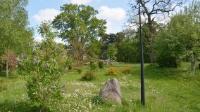 Park w Leśniewie - historia, magiczna przyroda, konie… - zdjęcie 32