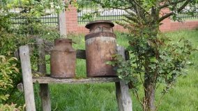 Park w Leśniewie - historia, magiczna przyroda, konie… - zdjęcie 33