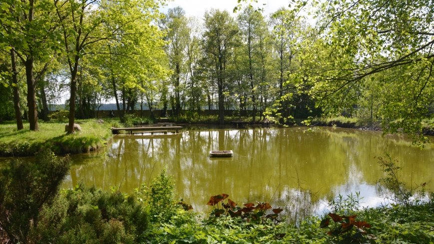 Park w Leśniewie - historia, magiczna przyroda, konie… - zdjęcie 1
