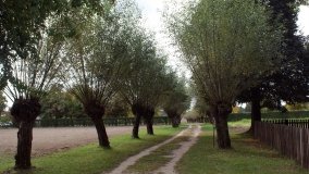 Skansen w Dziekanowicach – „złota epoka” wielkopolskiej kultury ludowej - zdjęcie 35