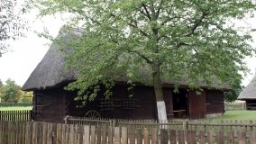 Skansen w Dziekanowicach – „złota epoka” wielkopolskiej kultury ludowej - zdjęcie 30