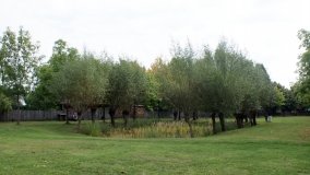 Skansen w Dziekanowicach – „złota epoka” wielkopolskiej kultury ludowej - zdjęcie 24