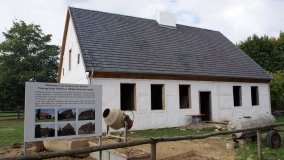 Skansen w Dziekanowicach – „złota epoka” wielkopolskiej kultury ludowej - zdjęcie 20