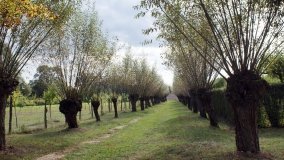 Skansen w Dziekanowicach – „złota epoka” wielkopolskiej kultury ludowej - zdjęcie 9