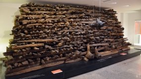 Muzeum Początków Państwa Polskiego w Gnieźnie - zdjęcie 8