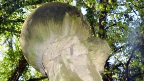 Zagadkowy Atlas - zdjęcie 3