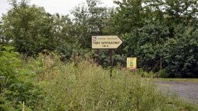 „Dąb Mieliński” - najstarszy dąb w Polsce - zdjęcie 7