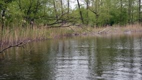 Skarby jeziora Utrata - zdjęcie 4