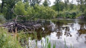 Skarby jeziora Utrata - zdjęcie 5