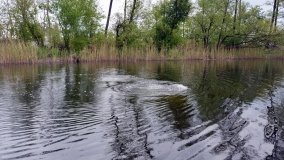 Skarby jeziora Utrata - zdjęcie 6