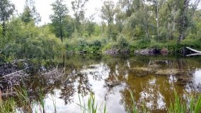 Skarby jeziora Utrata - zdjęcie 7