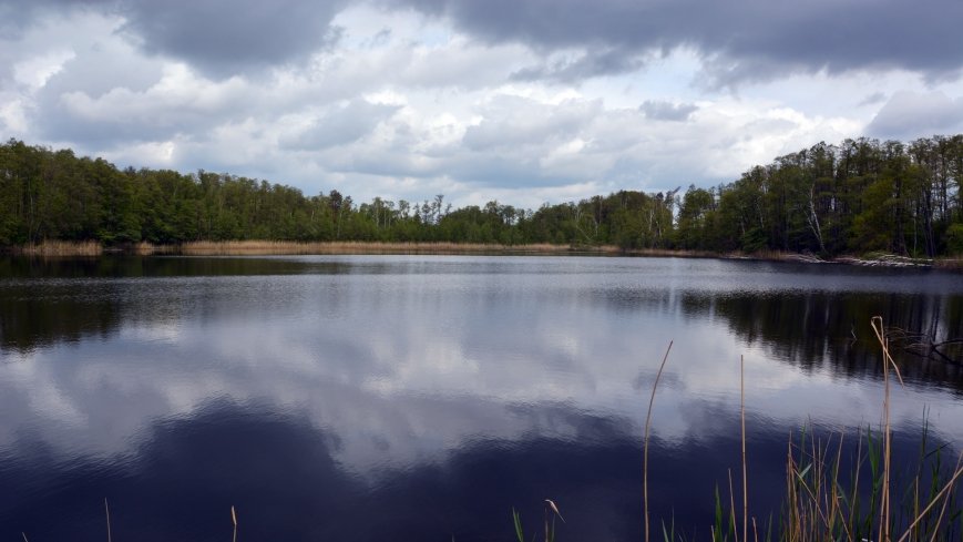 Skarby jeziora Utrata - zdjęcie 1