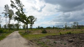 „Doły śmierci” w Lasach Nowaszyckich - zdjęcie 3