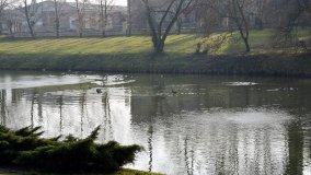 Pałac Zakrzewo - rezydencja rodem z Paryża - zdjęcie 3