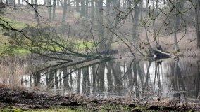 Pałac Zakrzewo - rezydencja rodem z Paryża - zdjęcie 2