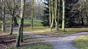 Pałac Zakrzewo - rezydencja rodem z Paryża - zdjęcie 10