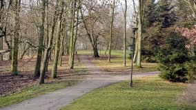 Pałac Zakrzewo - rezydencja rodem z Paryża - zdjęcie 13