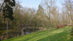 Pałac Zakrzewo - rezydencja rodem z Paryża - zdjęcie 15