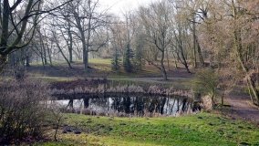 Pałac Zakrzewo - rezydencja rodem z Paryża - zdjęcie 18