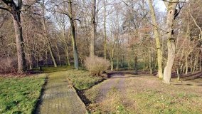 Pałac Zakrzewo - rezydencja rodem z Paryża - zdjęcie 20