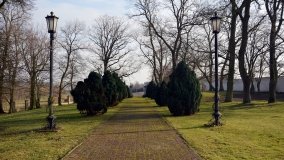 Pałac Zakrzewo - rezydencja rodem z Paryża - zdjęcie 31