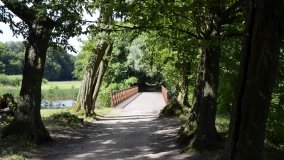 Unikatowy pałac w Czerniejewie - zdjęcie 20