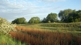 „Stawy Kiszkowskie” – unikatowe miejsce na Pojezierzu Gnieźnieńskim - zdjęcie 2