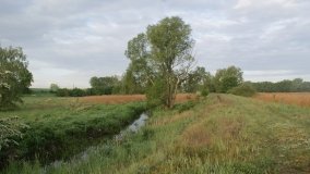 „Stawy Kiszkowskie” – unikatowe miejsce na Pojezierzu Gnieźnieńskim - zdjęcie 3